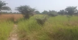 12 Acres of Dry Land Near Marshall. #116