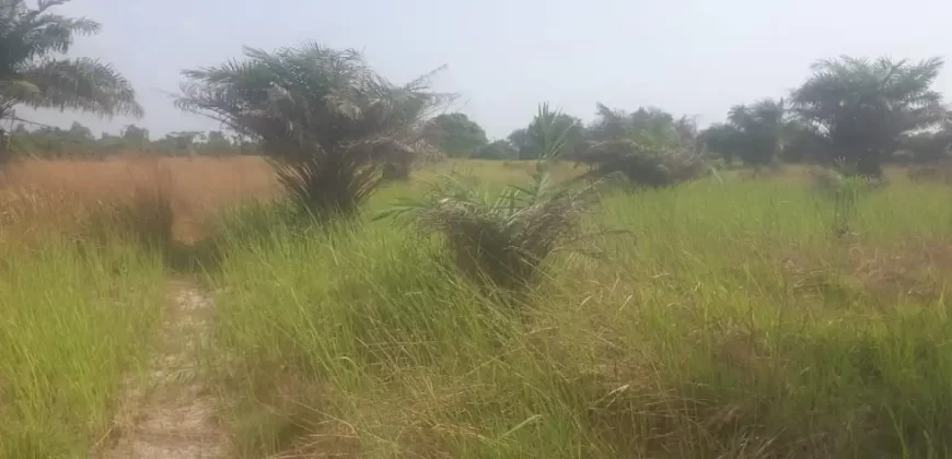 12 Acres of Dry Land Near Marshall. #116