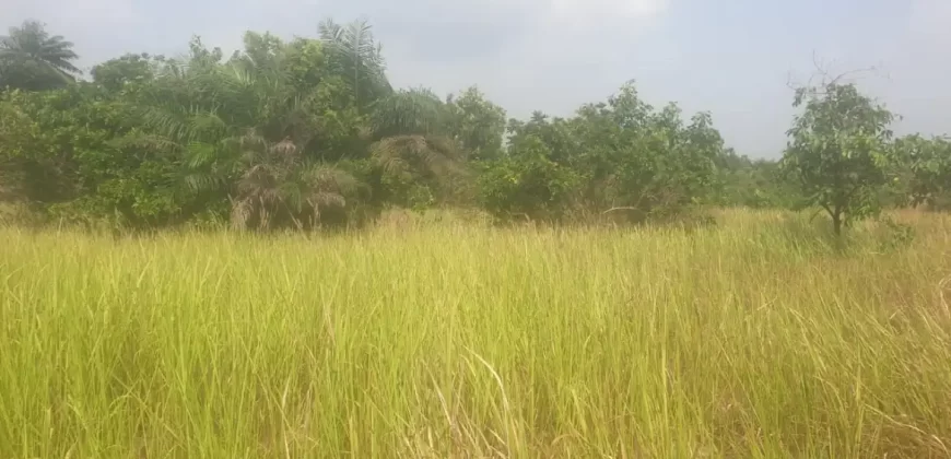 12 Acres of Dry Land Near Marshall. #116