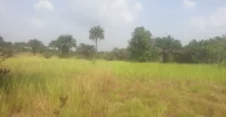 12 Acres of Dry Land Near Marshall. #116