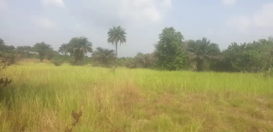 12 Acres of Dry Land Near Marshall. #116