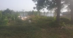 Riverfront Property on RIA Highway. #115