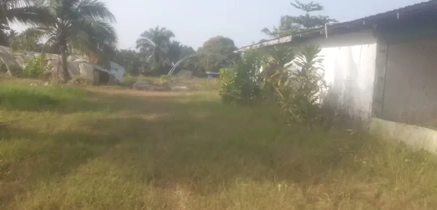 Riverfront Property on RIA Highway. #115