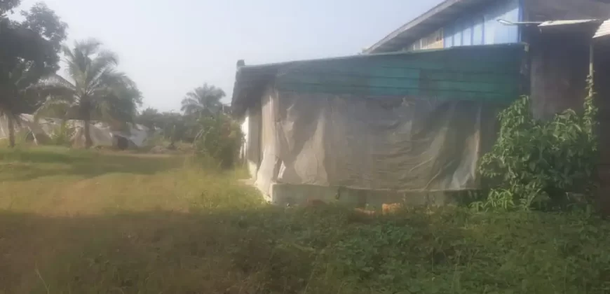 Riverfront Property on RIA Highway. #115