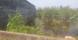 Riverfront Property on RIA Highway. #115