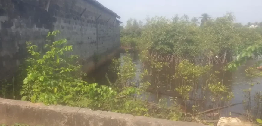 Riverfront Property on RIA Highway. #115