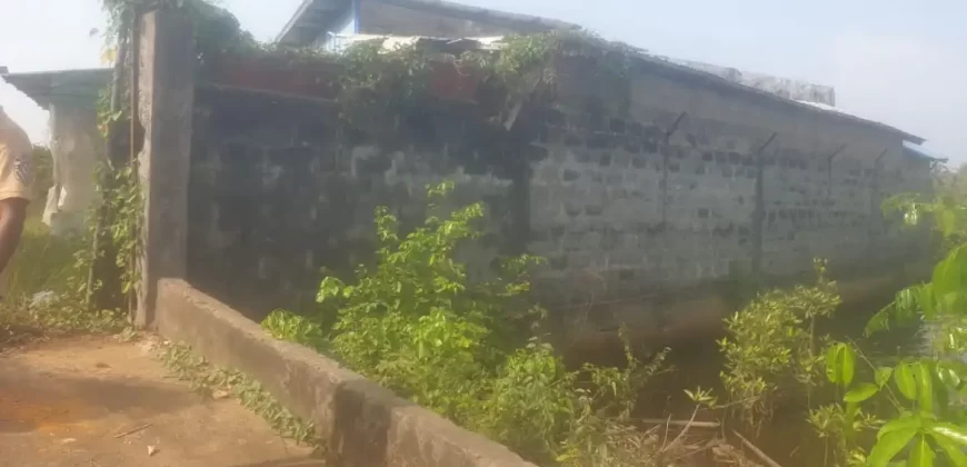 Riverfront Property on RIA Highway. #115