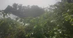 Riverfront Property on RIA Highway. #115