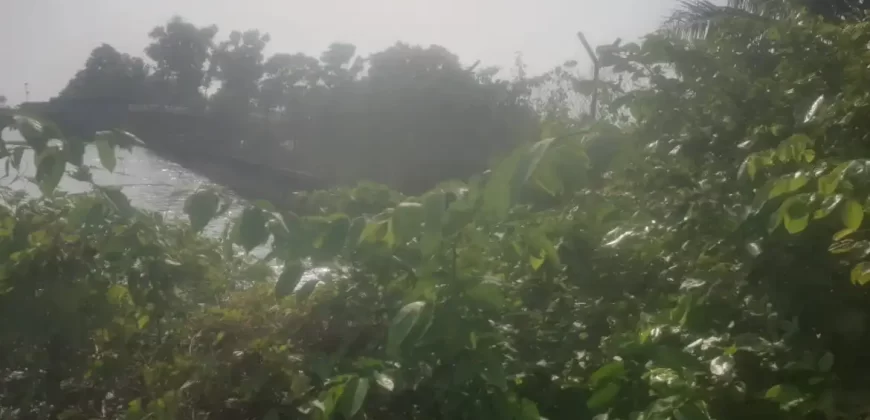 Riverfront Property on RIA Highway. #115