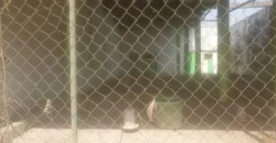 Riverfront Property on RIA Highway. #115