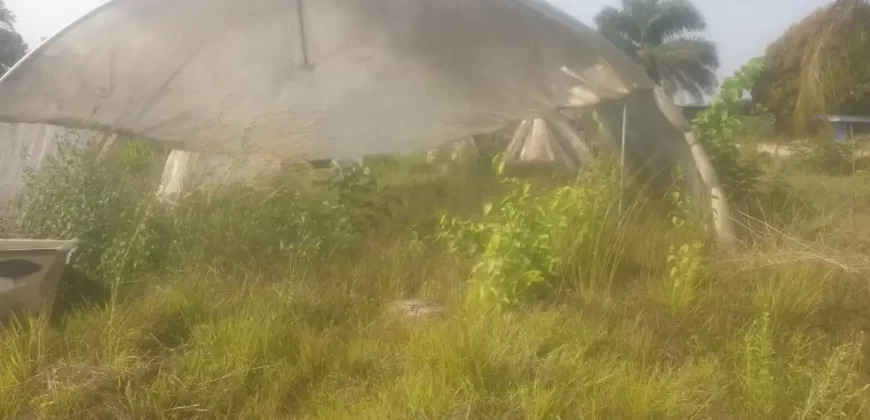 Riverfront Property on RIA Highway. #115