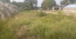 Riverfront Property on RIA Highway. #115