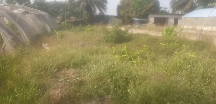 Riverfront Property on RIA Highway. #115