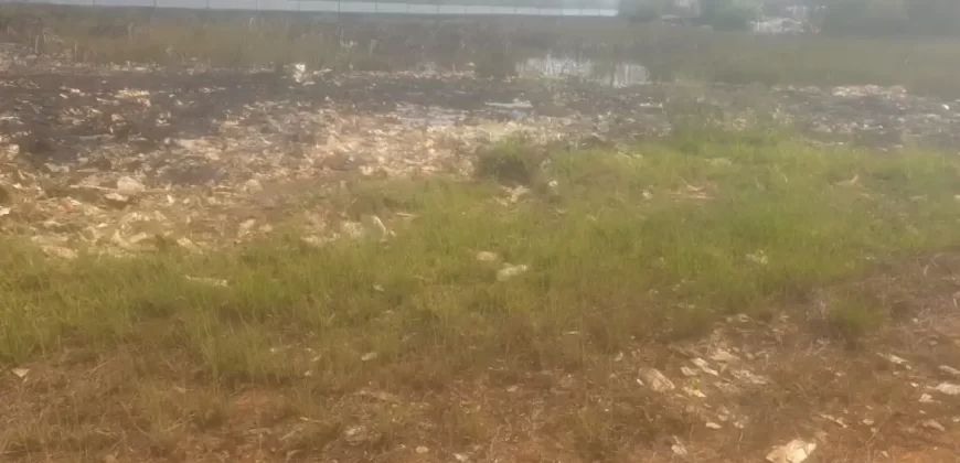 Riverfront Property on RIA Highway. #115