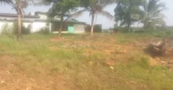 Riverfront Property on RIA Highway. #115