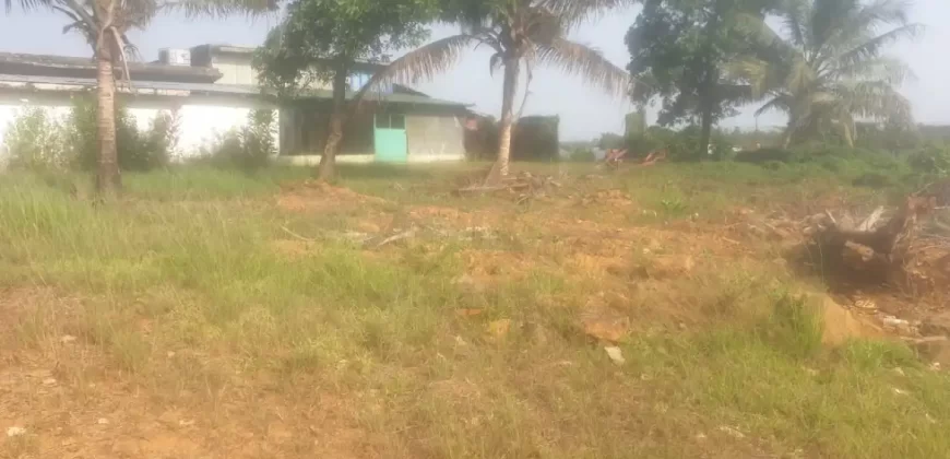 Riverfront Property on RIA Highway. #115