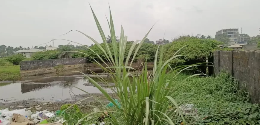 Prime Location in Congo Town. #117