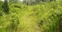 Land in Zoewenh Town, Margibi County