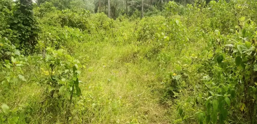 Land in Zoewenh Town, Margibi County