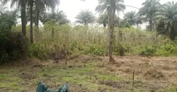 Land in Zoewenh Town, Margibi County