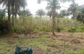 Land in Zoewenh Town, Margibi County