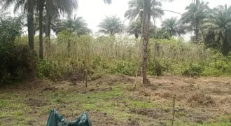 Land in Zoewenh Town, Margibi County