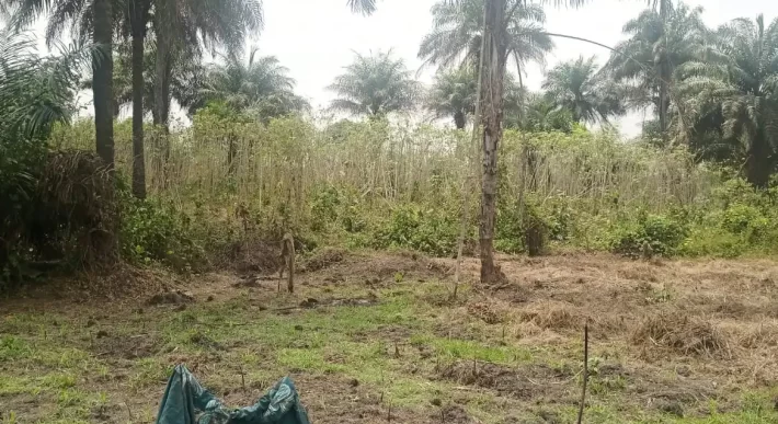 Land in Zoewenh Town, Margibi County