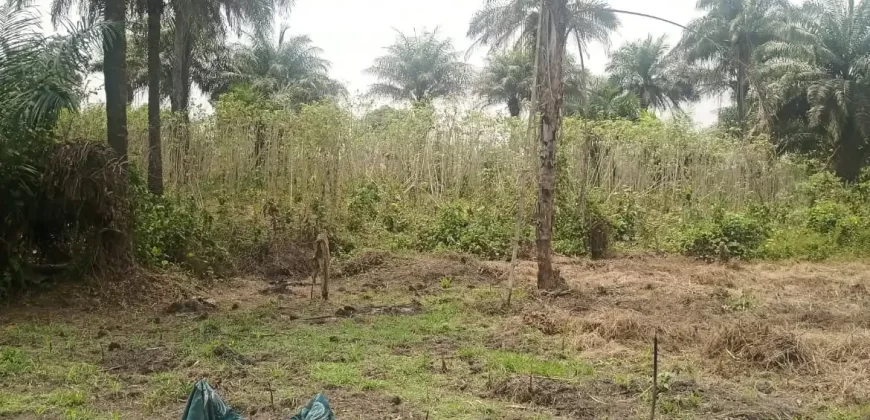 Land in Zoewenh Town, Margibi County