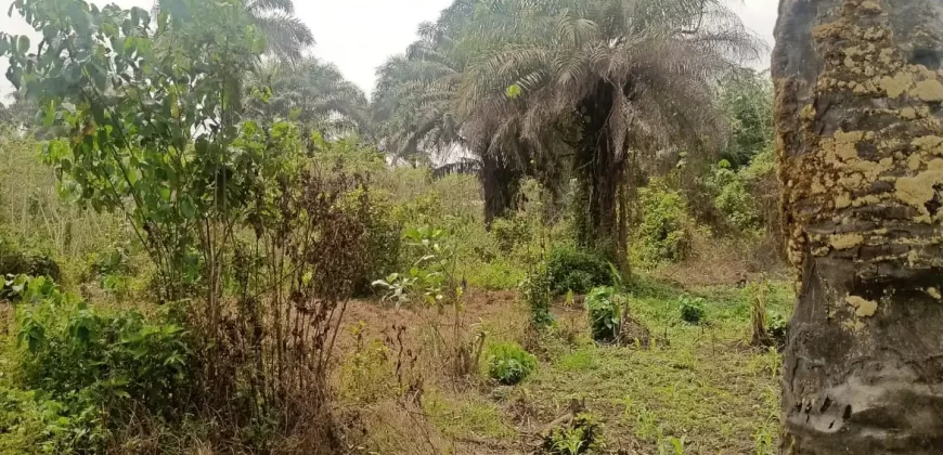 Land in Zoewenh Town, Margibi County