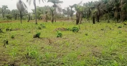 Land in Zoewenh Town, Margibi County