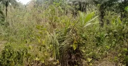 Land in Zoewenh Town, Margibi County