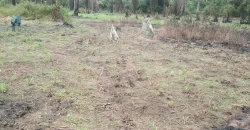 Land in Zoewenh Town, Margibi County