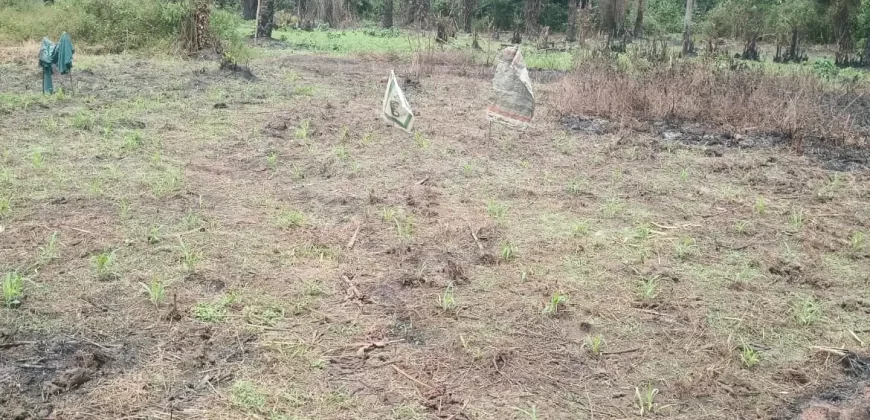 Land in Zoewenh Town, Margibi County