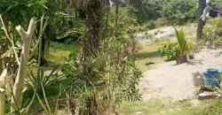 Land in Fokos Town near Marshall City #119