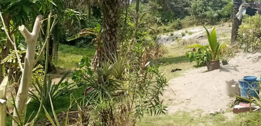 Land in Fokos Town near Marshall City #119