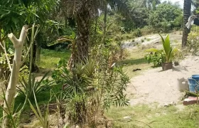 Land in Fokos Town near Marshall City #119