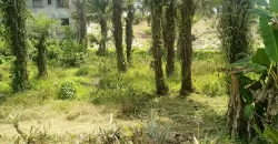 Land in Fokos Town near Marshall City #119