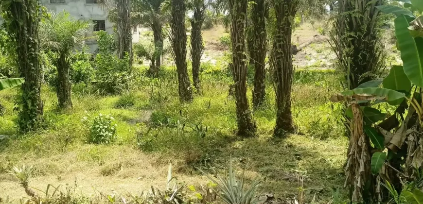 Land in Fokos Town near Marshall City #119