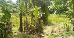 Land in Fokos Town near Marshall City #119