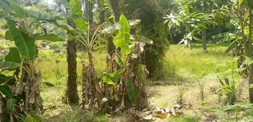 Land in Fokos Town near Marshall City #119