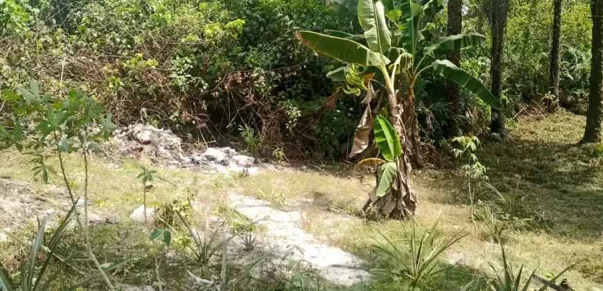 Land in Fokos Town near Marshall City #119