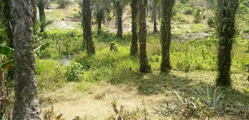 Land in Fokos Town near Marshall City #119