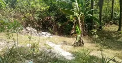 Land in Fokos Town near Marshall City #119