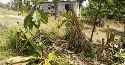 Land in Fokos Town near Marshall City #119