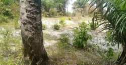 Land in Fokos Town near Marshall City #119