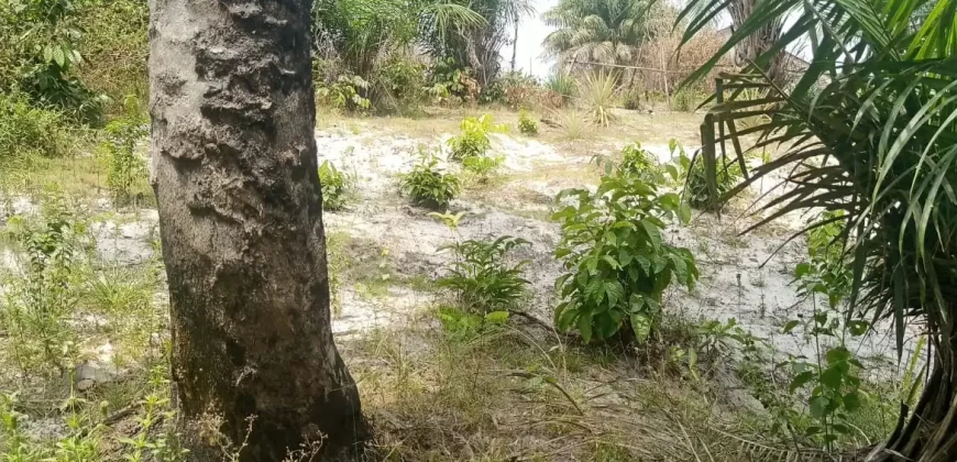 Land in Fokos Town near Marshall City #119