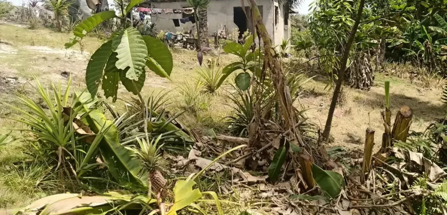 Land in Fokos Town near Marshall City #119