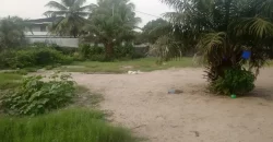 Prime Land – LTA Community