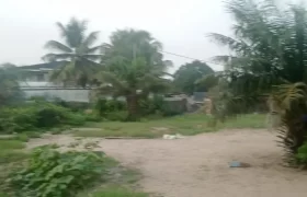 Prime Land – LTA Community