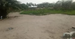 Prime Land – LTA Community